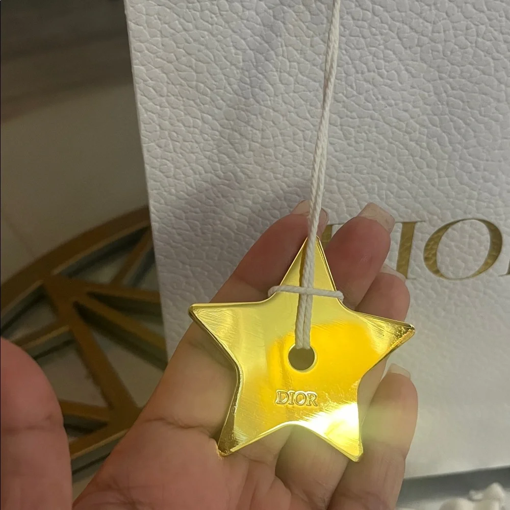 Dior Gift Bag - Picture 3 of 12